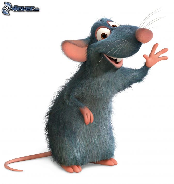 Remi, Ratatouille, souris, cuisinier, rat